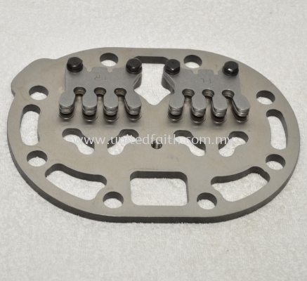 Carrier 06EA404944 Valve Plate