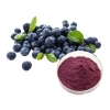 Blueberry Powder Fruit Powder Food Ingredients