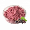 Blackcurrant Powder Fruit Powder Food Ingredients