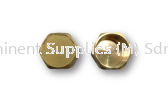 71F - BRASS FEMALE PLUG 71F - Female Plug Brass Fitting Push In Fitting / Brass Fitting / Ouick Coupler