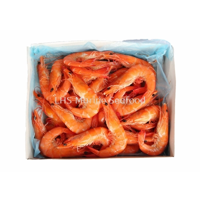 White Prawn & Tiger Prawn Cooked