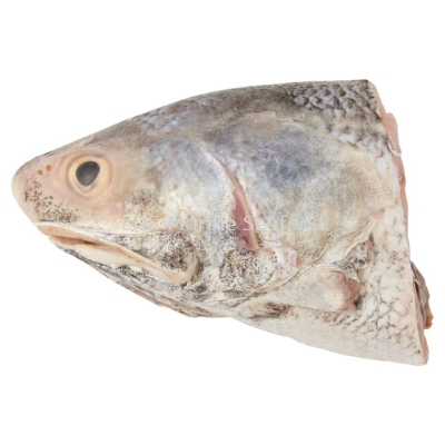 Fish Kurau Head