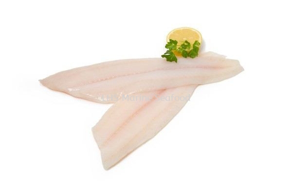 Butter Fish Fillet