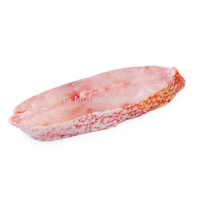 Fish Red Snapper Fillet