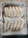 26/30 SEA WHITE PRAWN AAϺ FROZEN PRAWN