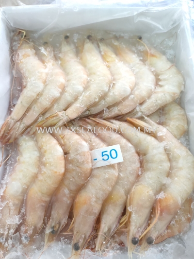 41/50 SEA WHITE PRAWN AAϺ