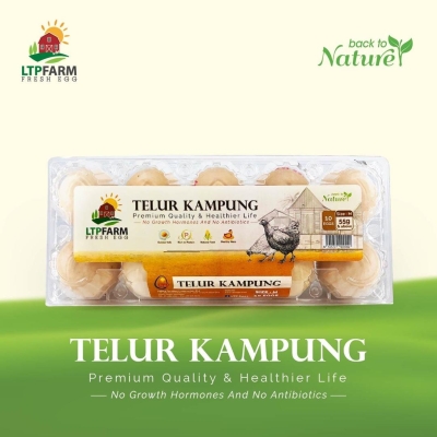 Telur Kampung