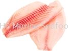 Fish Talapia Fillet Fish Fillet and Fish Head