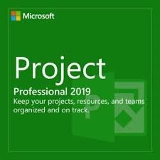 Microsoft Project Professional