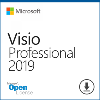 Microsoft Visio Professional VisioPro 2019 SNGL OLP NL