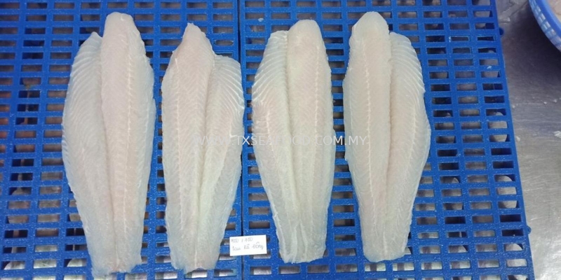 DORY FISH FILLETWELL TRIM