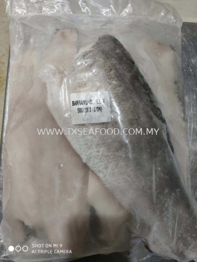 SEA SIAKAP FILLET AA