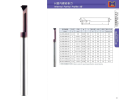 Internal Partial Profile 60กใ Carbide Micro Boring Tip Bars LH