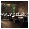 Dark Brown Babylon Oakwood (Bellezza) Babylon Oakwood (Bellezza) Wood Tiles