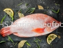 Fish Red Talapia  Whole Fish