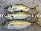 Fish Selar Whole Fish