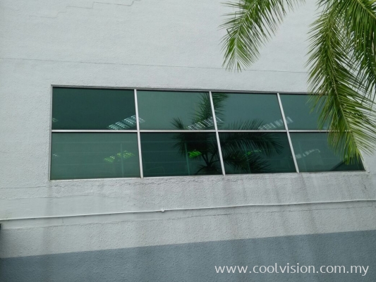 Window Film : Lite Green