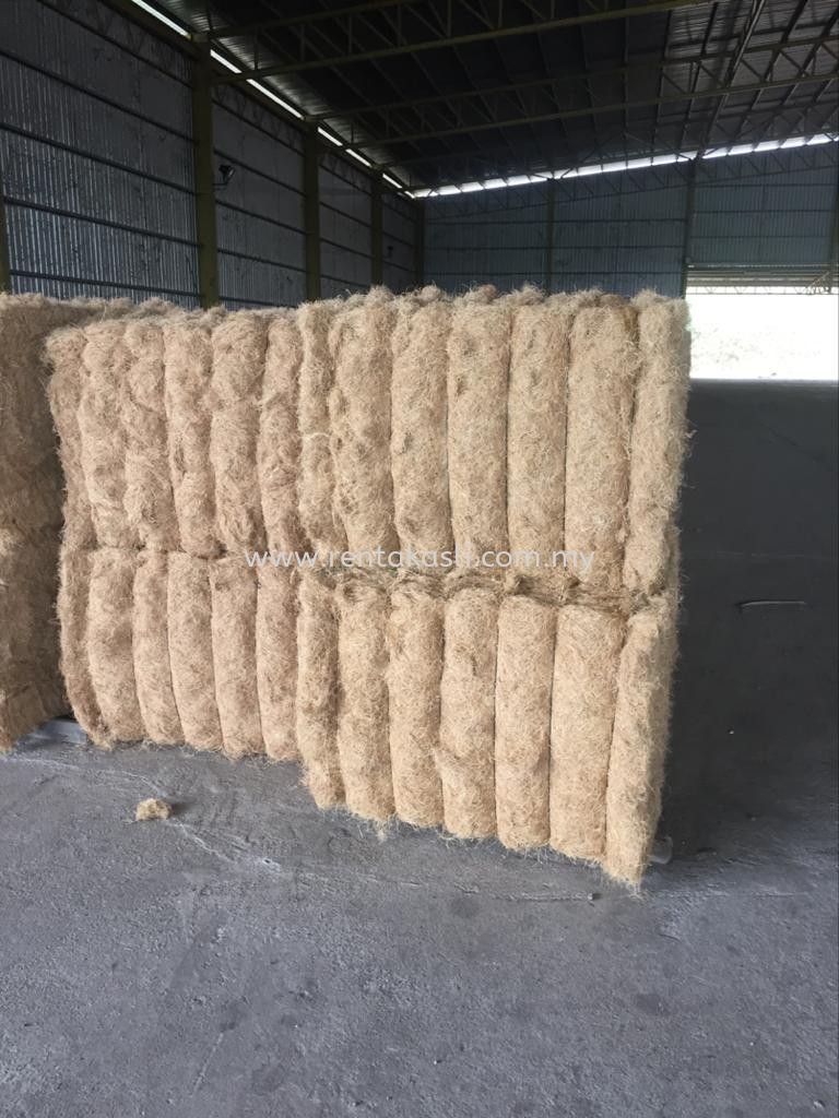 Palm Fibre