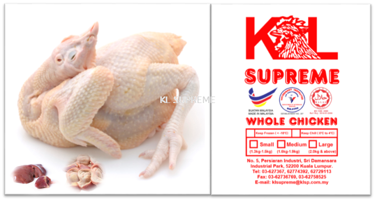 Chicken Standard (have head & feet and liver & gizzard)/ȫ(ͷ&,м&)/Ayam Tarik Usus (ada kepala & kaki dan hati & pedal)