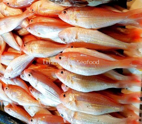 Fish Threadfin Bream/Ikan Kerisi