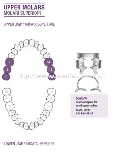 Rubber Dam Clamp Upper Molars 5595/4