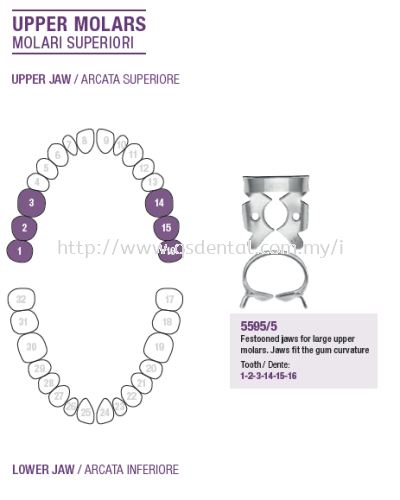 Rubber Dam Clamp Upper Molars 5595/5