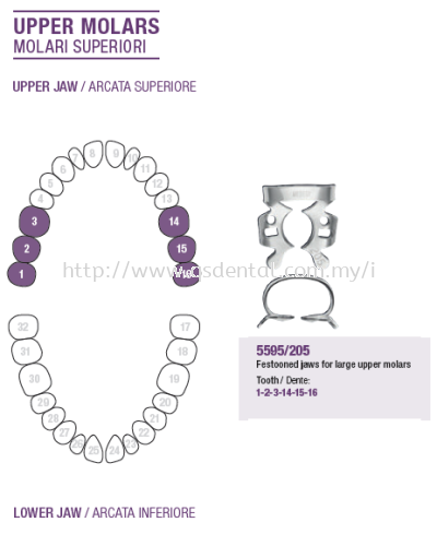 Rubber Dam Clamp Upper Molars 5595/205