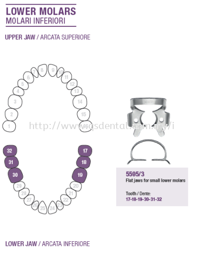 Rubber Dam Clamp Lower Molars 5595/3