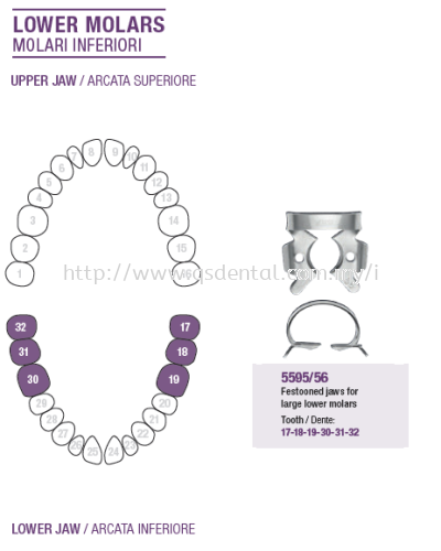 Rubber Dam Clamp Lower Molars 5595/13A