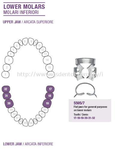 Rubber Dam Clamp Lower Molars 5595/7