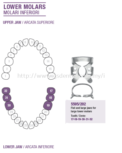 Rubber Dam Clamp Lower Molars 5595/202