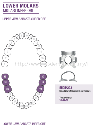 Rubber Dam Clamp Lower Molars 5595/203