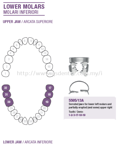 Rubber Dam Clamp Lower Molars 5595/12A