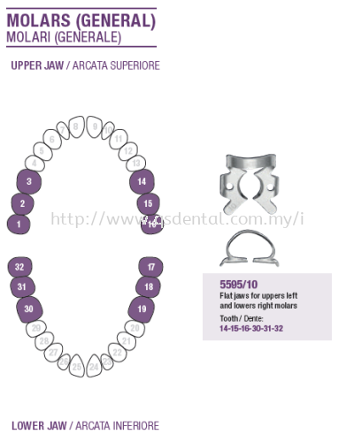 Rubber Dam Clamp Molars (General) 5595/10