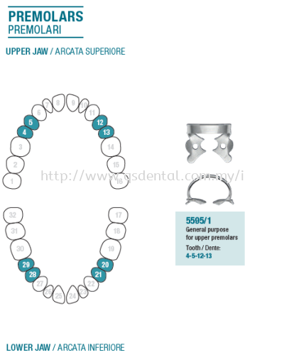 Rubber Dam Clamp Premolars 5595/1