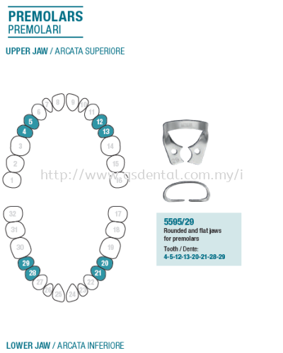 Rubber Dam Clamp Premolars 5595/29