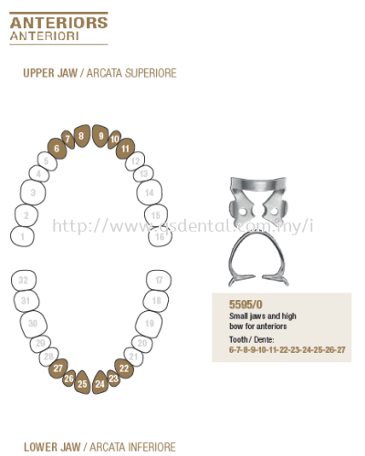 Rubber Dam Clamp Anterior 5595/0