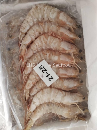 Sea Prawn Whole