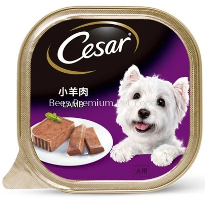 CESAR Lamb Wet Dog Food 100g