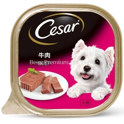 CESAR Beef Wet Dog Food 100g