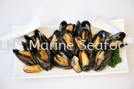 Black Mussel Scallop and Calms