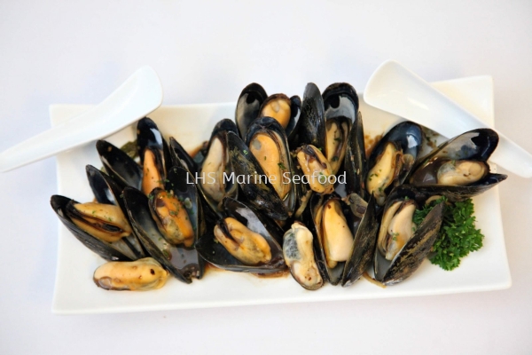 Black Mussel