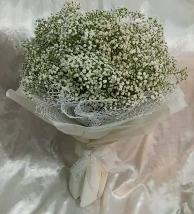 Babybreath Bouquet (HB-1037)