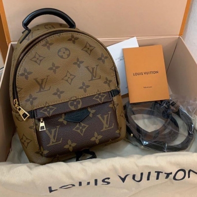 Louis Vuitton Reverse Monogram Mini Palmspring Backpack