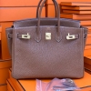 Hermes Birkin 25 Gold Togo GHW Hermes