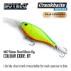 Shiner Shad PLATINIUM HARD LURE