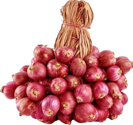 Bunch Shallot