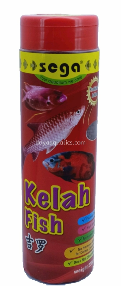 Kelah Fish