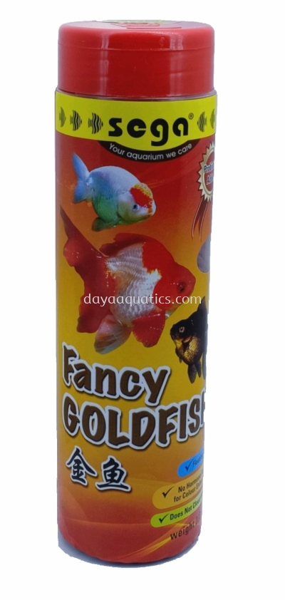 Fancy Goldfish