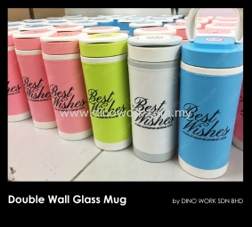 Double Wall Glass Mug